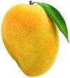 mango-object-1